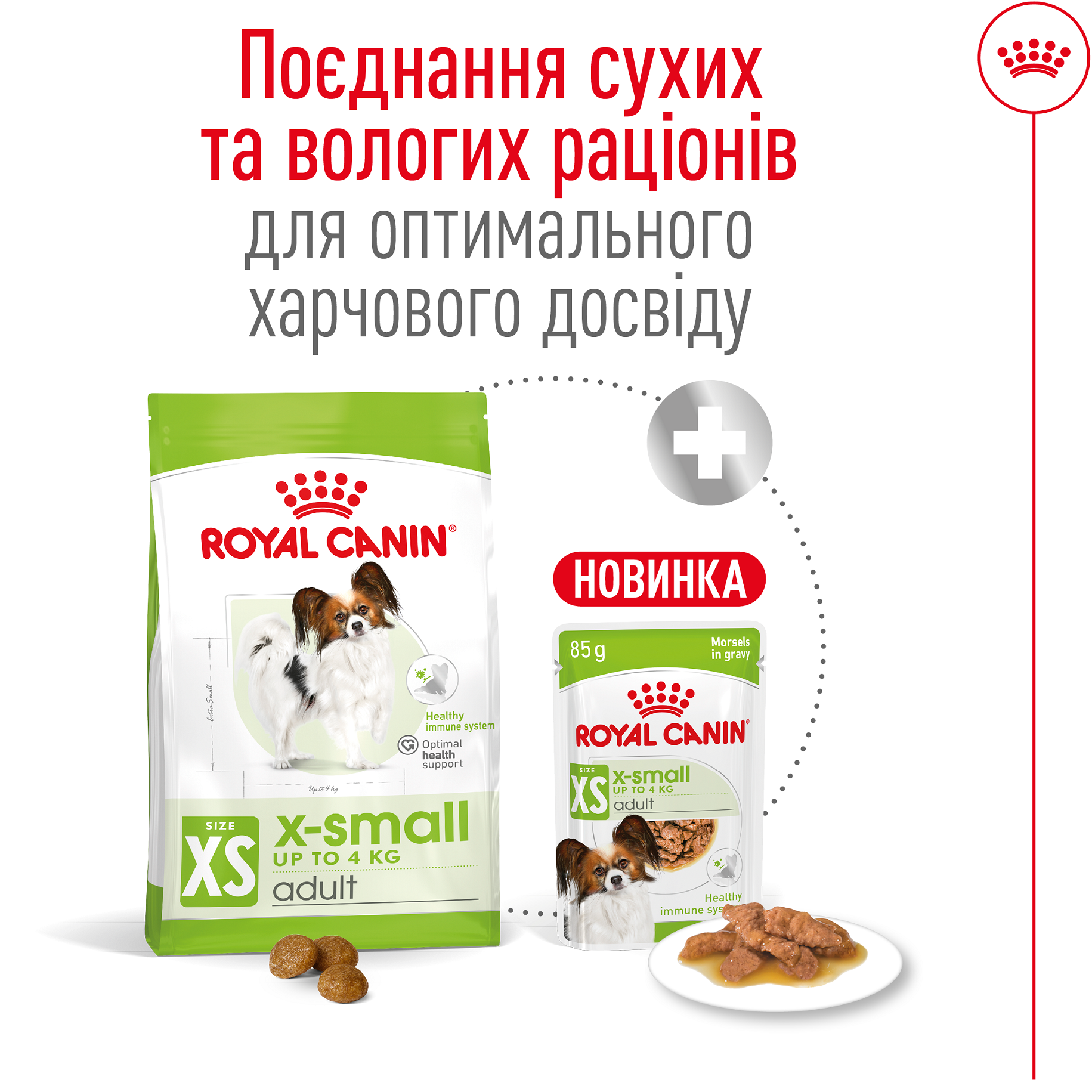 ROYAL CANIN X-Small Adult Сухий корм для дорослих собак дрібних порід4