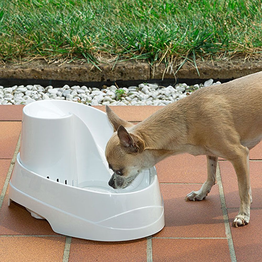 FERPLAST Vega Cat Fountain Автоматична поїлка для котів та дрібних собак8