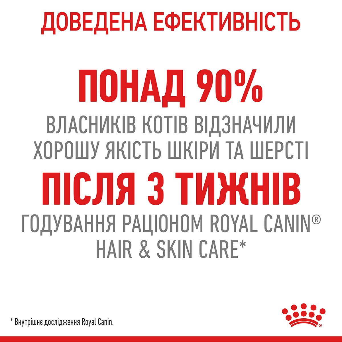 ROYAL CANIN Hair&Skin Care Сухой корм для поддержания здоровья кожи и блеска шерсти у котов7