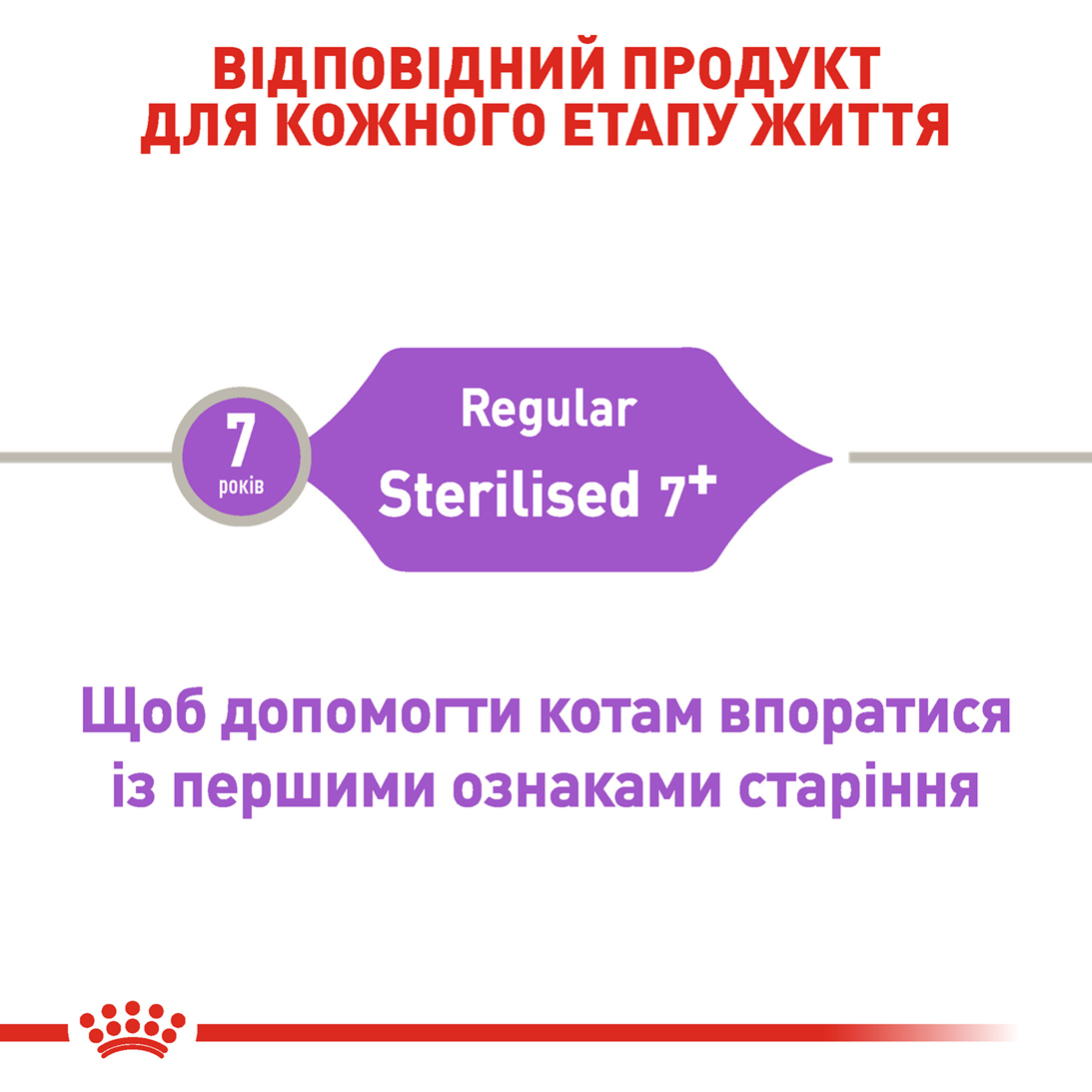 ROYAL CANIN Regular Sterilised 7+ Cухий корм для дорослих стерилізованих котів2