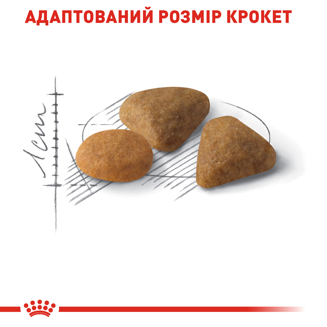 ROYAL CANIN Exigent Savour Сухой корм для привередливых кошек2