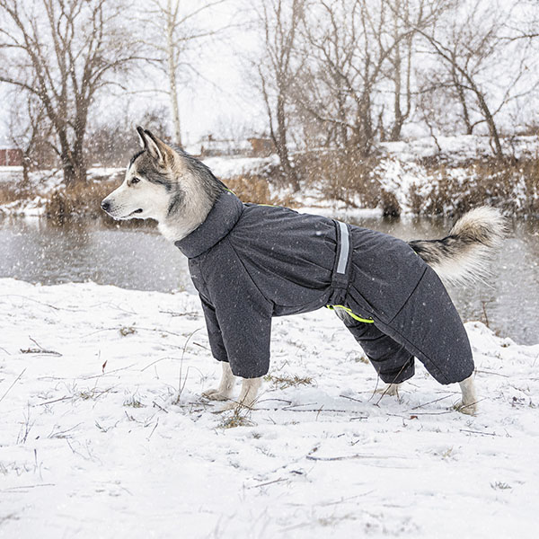 Pet Fashion «Cold» Комбінезон для собак14