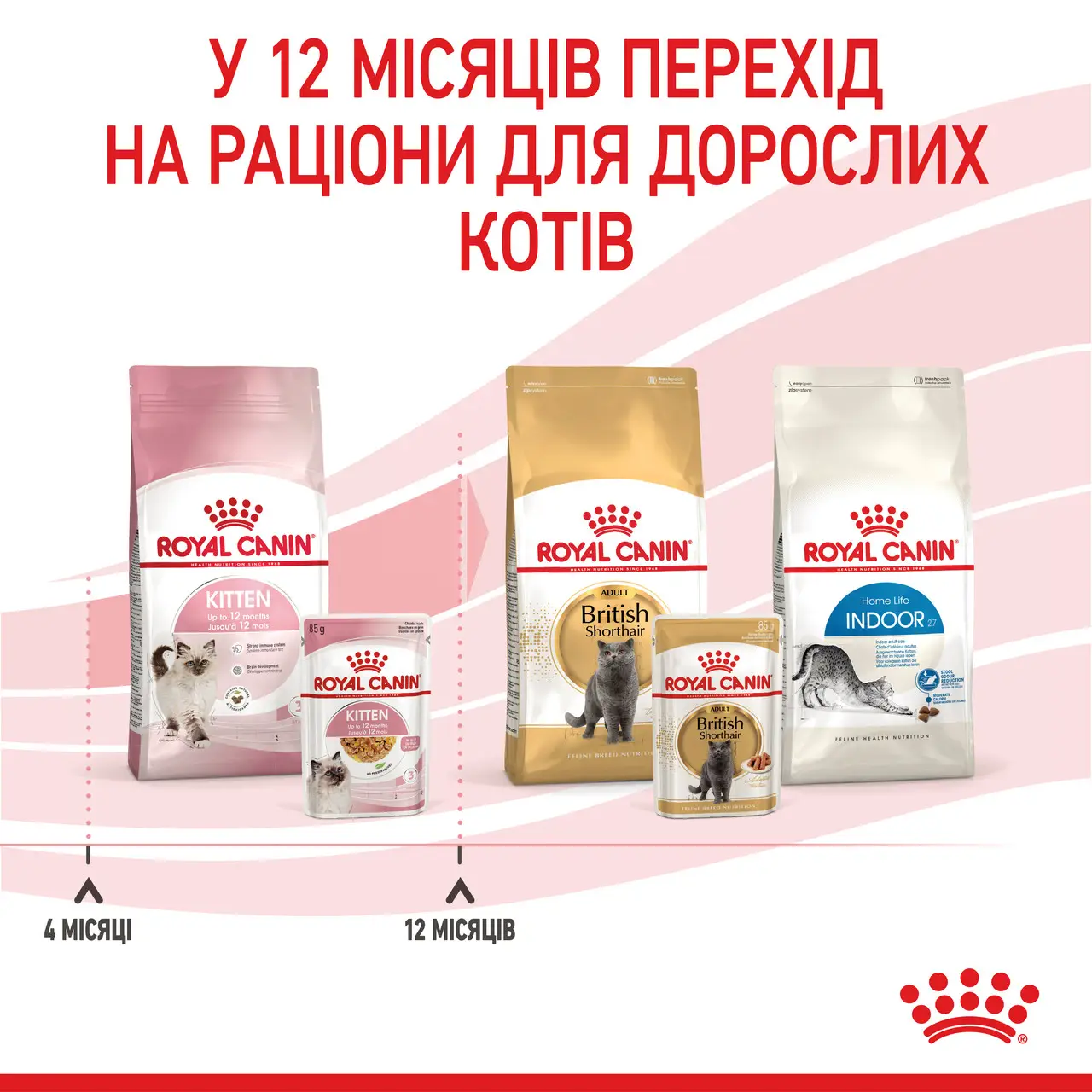 ROYAL CANIN Kitten Jelly Вологий корм для кошенят3