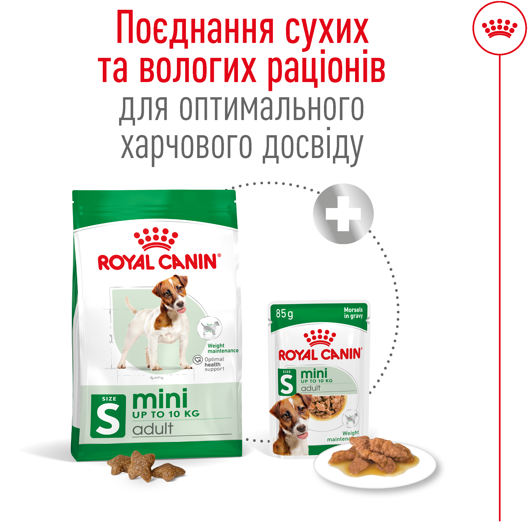 ROYAL CANIN Mini Adult Сухой корм для взрослых собак мелких пород4