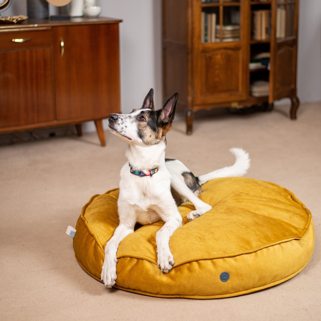 HARLEY AND CHO Подушка для котів та собак Memory Foam Island Yellow6