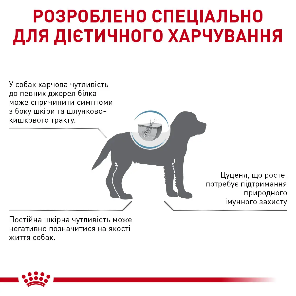 ROYAL CANIN Hypoallergenic Puppy Сухий корм для цуценят4