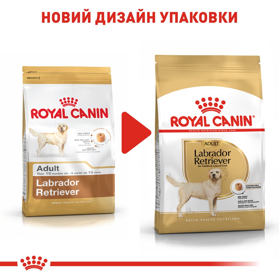 ROYAL CANIN Labrador Retriever Adult Сухой корм для взрослых собак породы Лабрадор-ретривер7