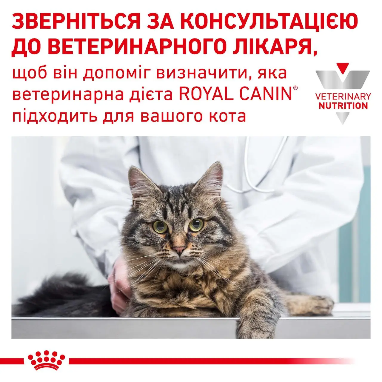 ROYAL CANIN Urinary S/O Moderate Calorie Cat Вологий корм для дорослих котів8