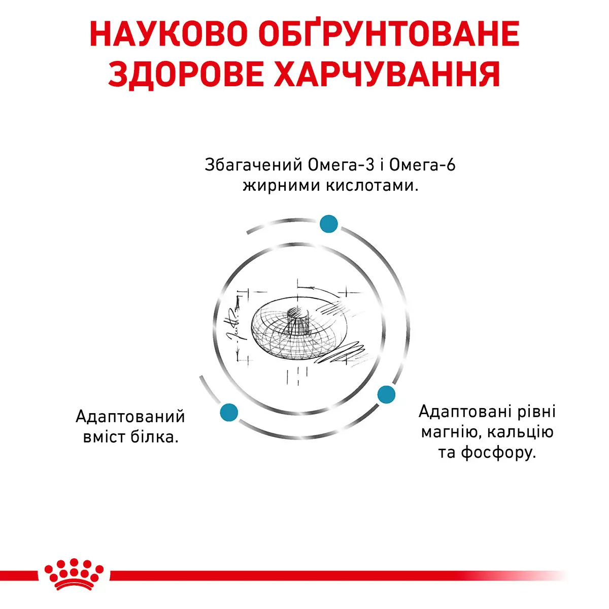 ROYAL CANIN Skin&Coat Cat Сухий корм для дорослих котів8