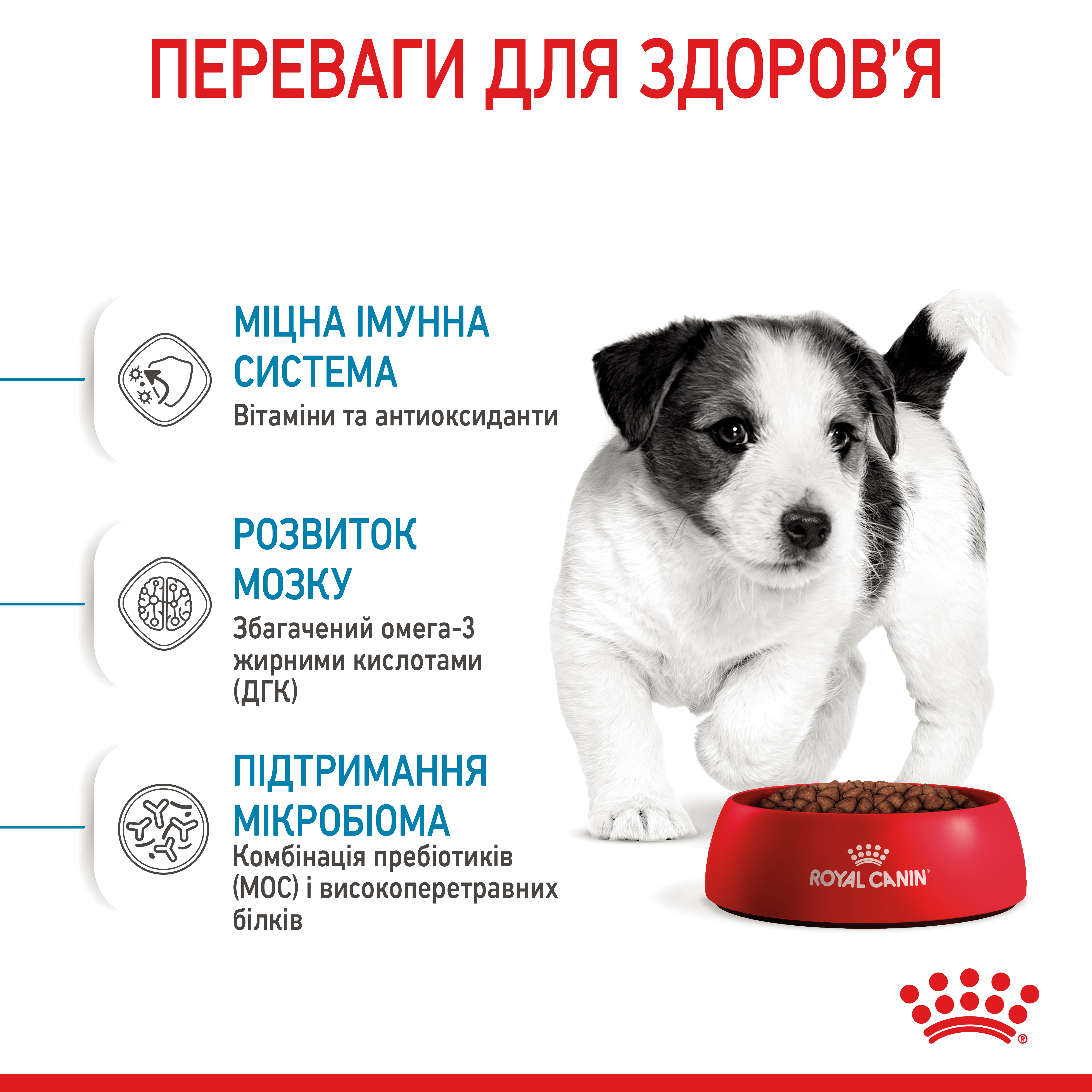 ROYAL CANIN Mini Puppy Сухий корм для цуценят дрібних порід9