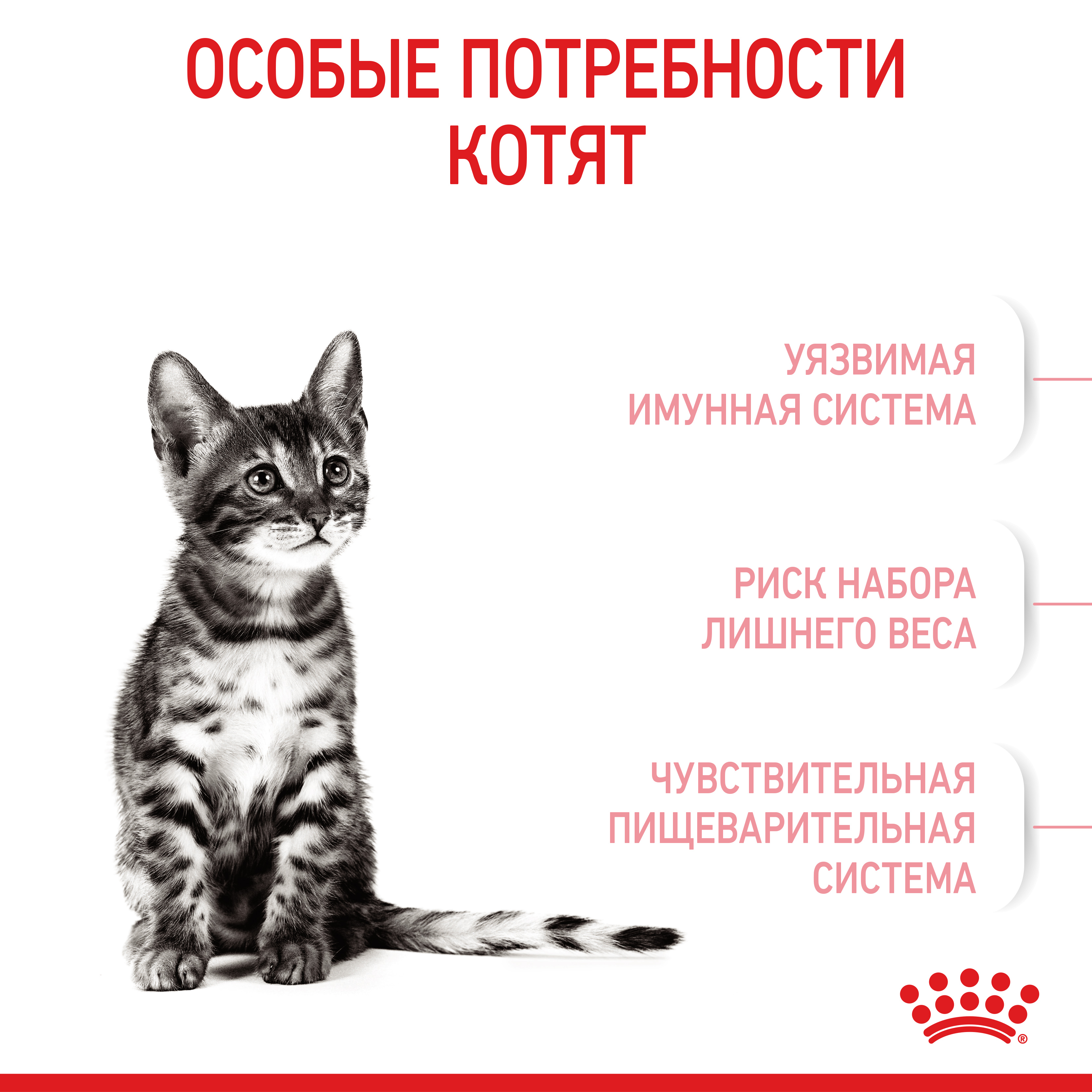 ROYAL CANIN Kitten Sterilised Сухой корм для стерилизованных котят7