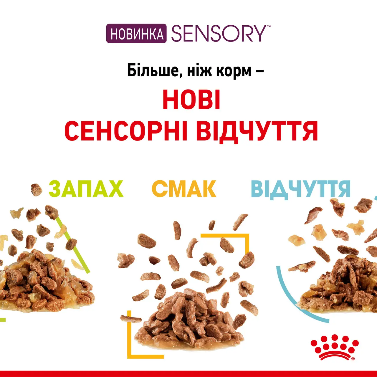 ROYAL CANIN Sensory Feel Gravy Вологий корм для дорослих котів3