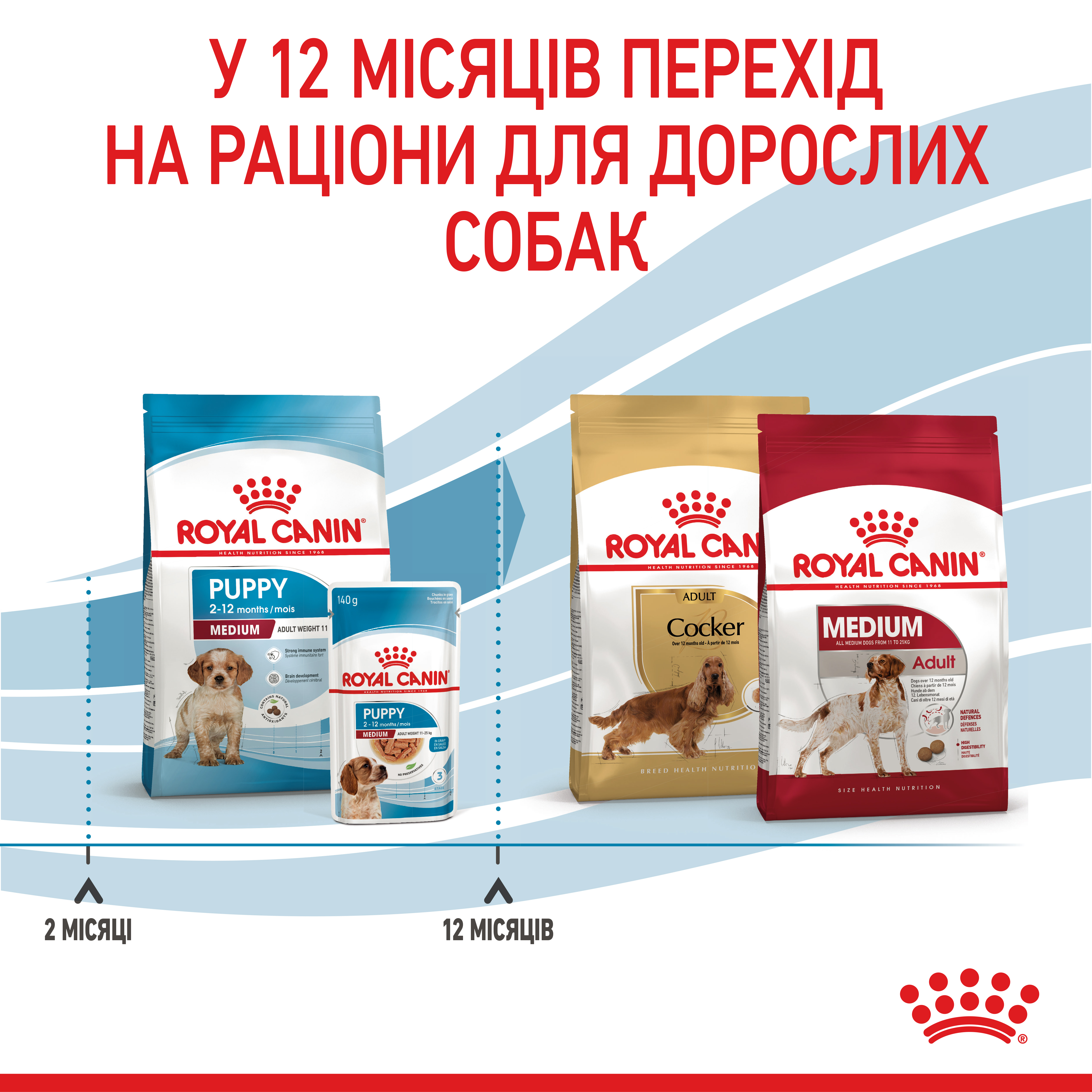 ROYAL CANIN Medium Puppy Сухий корм для цуценят8