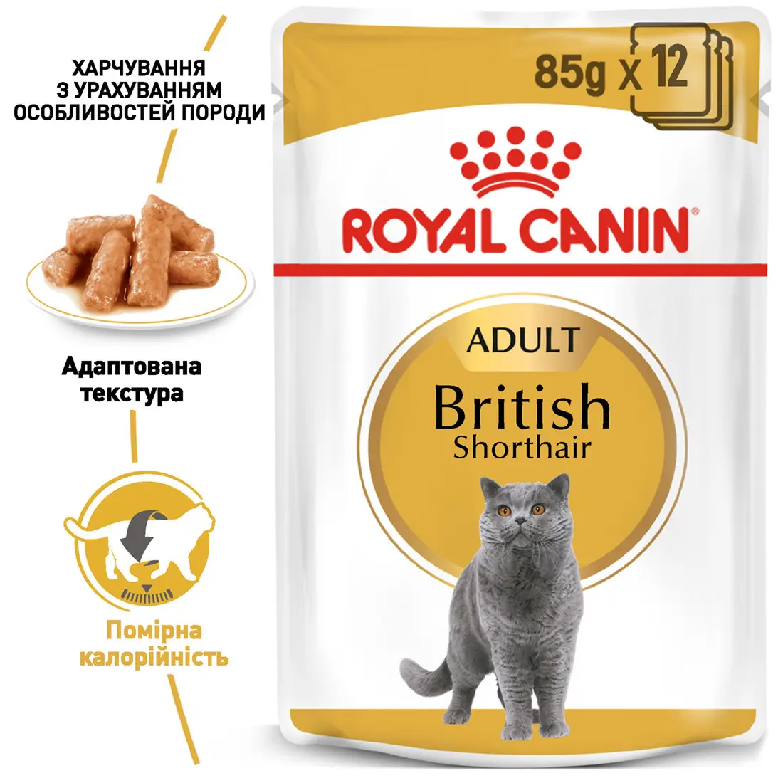 ROYAL CANIN British Shorthair Adult Вологий корм для дорослих котів породи Британська короткошерста1