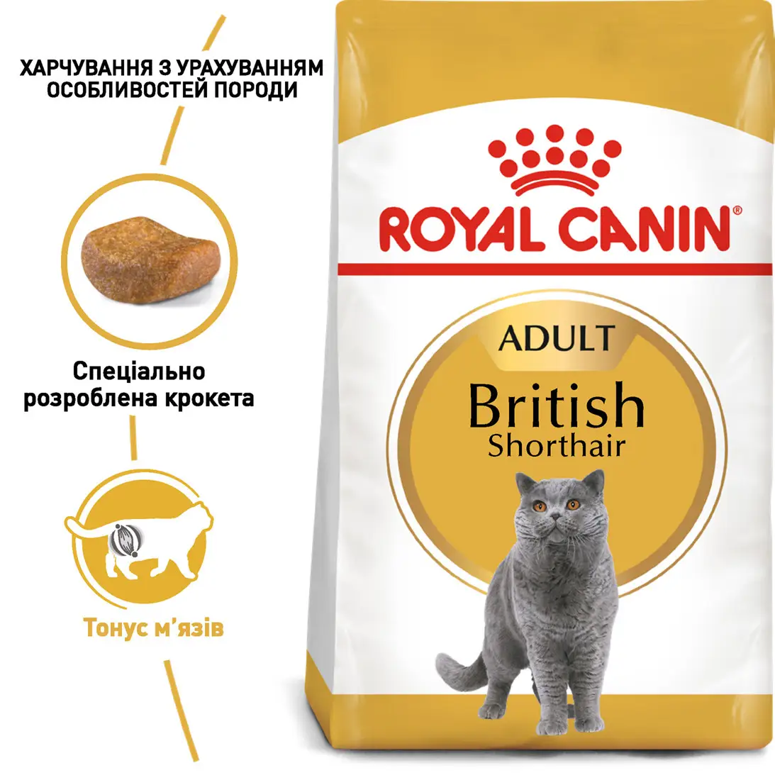 ROYAL CANIN British Shorthair Adult Сухой корм для взрослых кошек породы Британская короткошерстная2