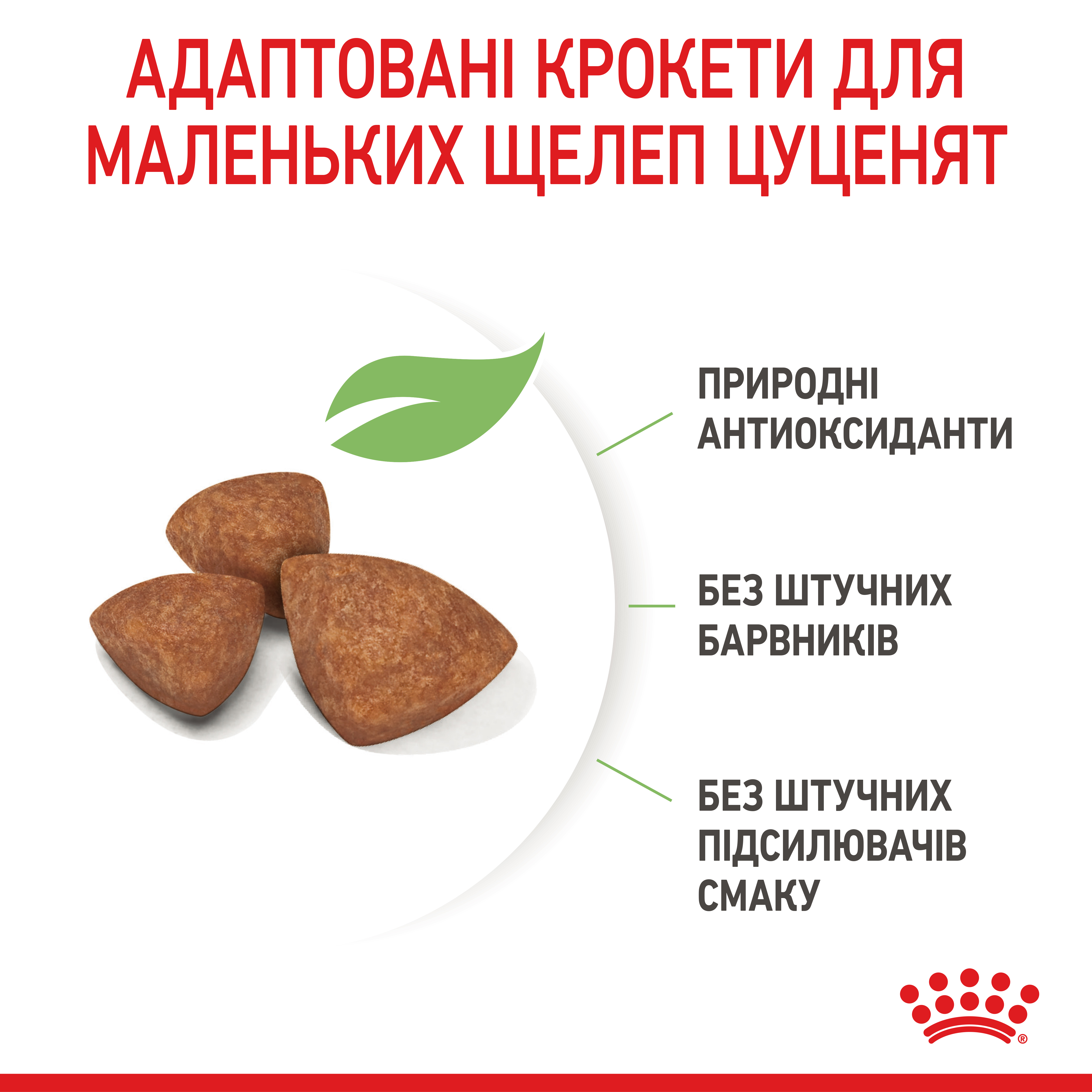 ROYAL CANIN X-Small Puppy Сухий корм для цуценят мініатюрних порід2