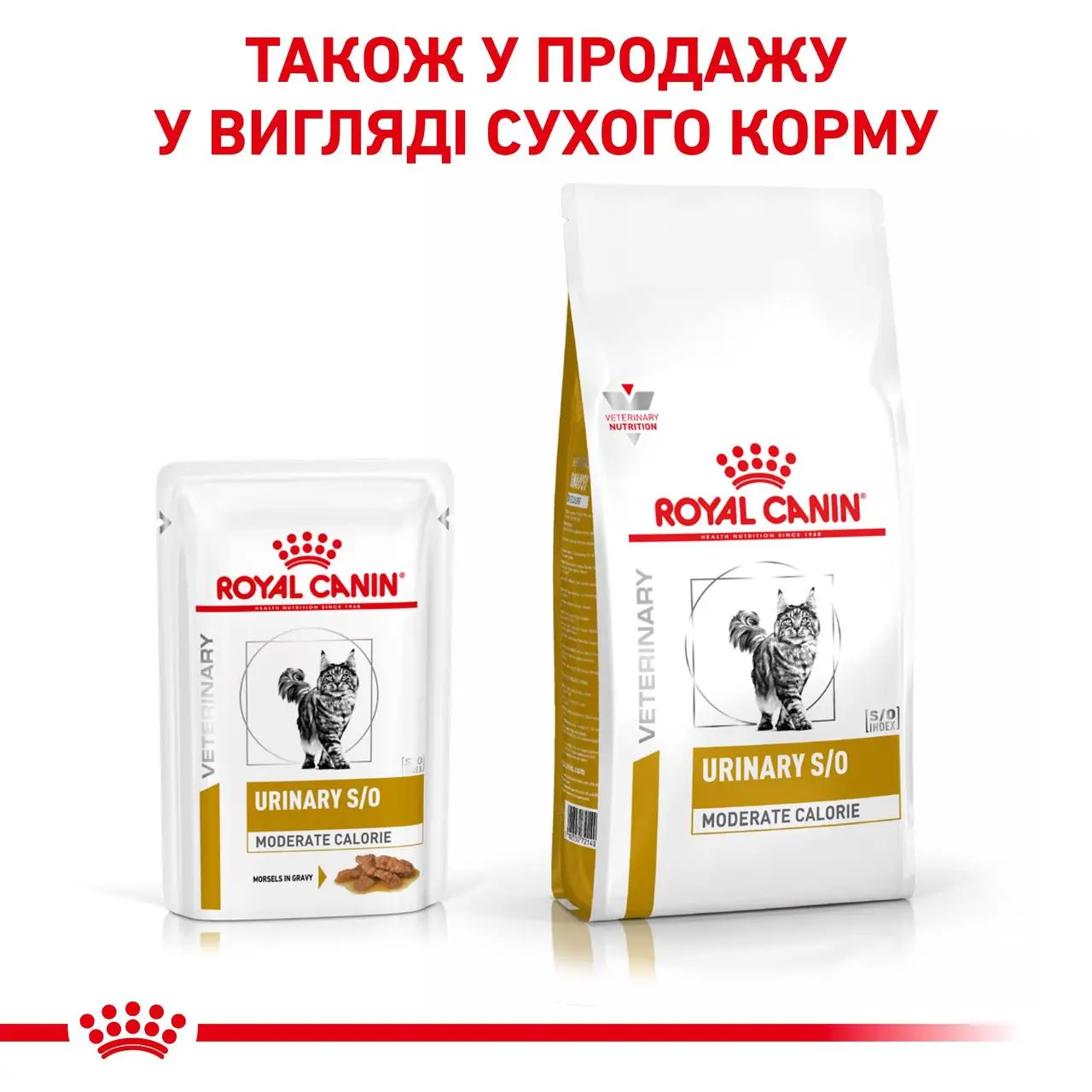 ROYAL CANIN Urinary S/O Moderate Calorie Cat Вологий корм для дорослих котів7