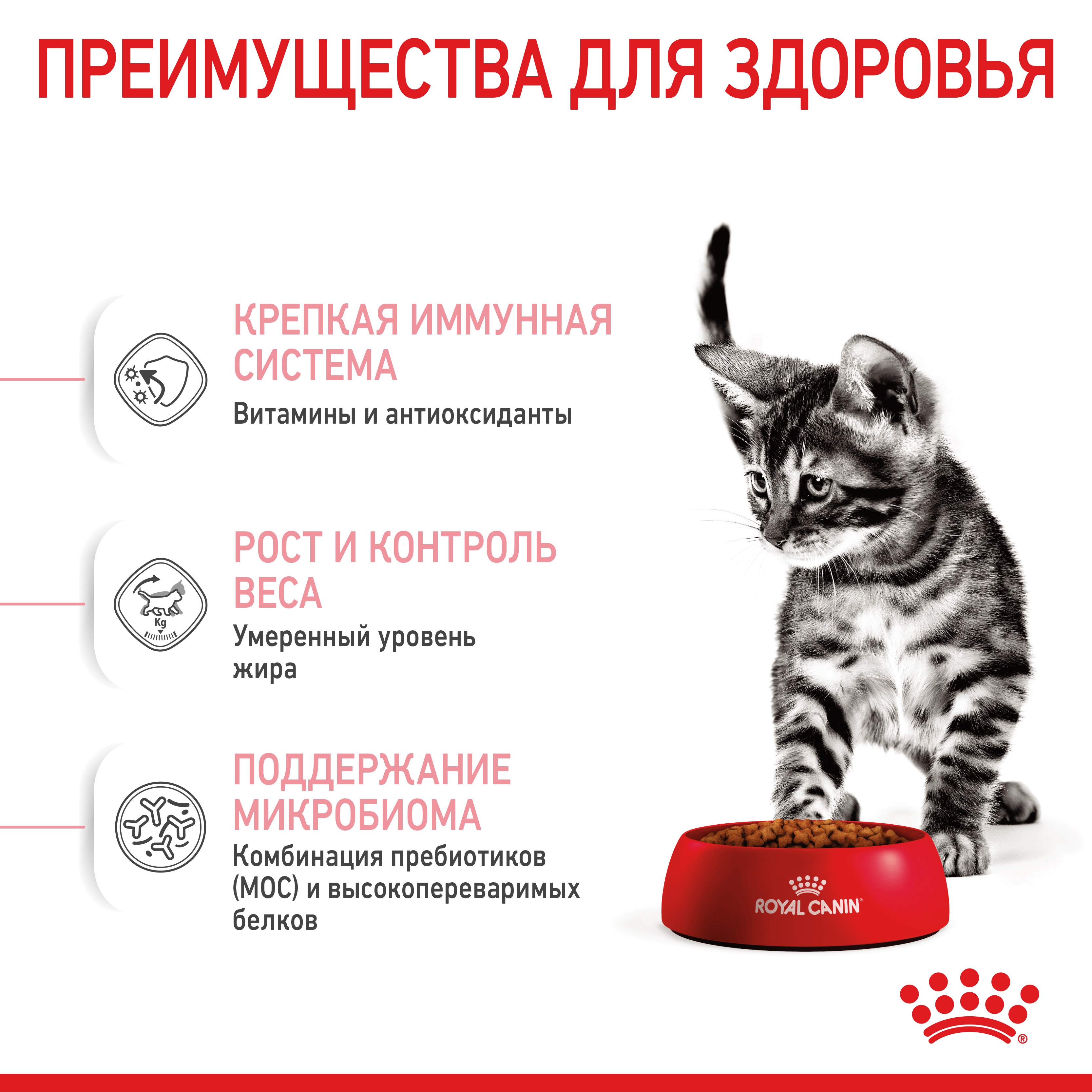 ROYAL CANIN Kitten Sterilised Сухой корм для стерилизованных котят4