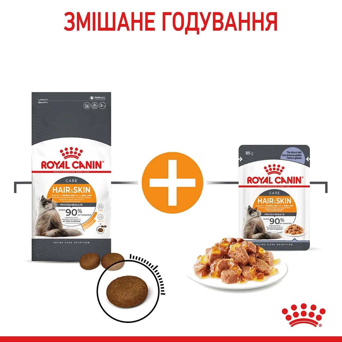 ROYAL CANIN Hair&Skin Care Jelly Вологий корм для дорослих котів8