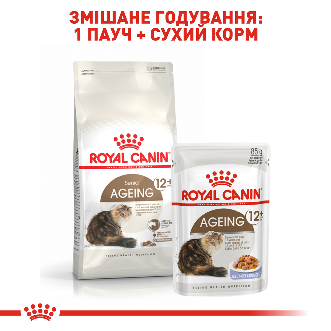 ROYAL CANIN Ageing 12+ Сухий корм для зрілих домашніх котів8