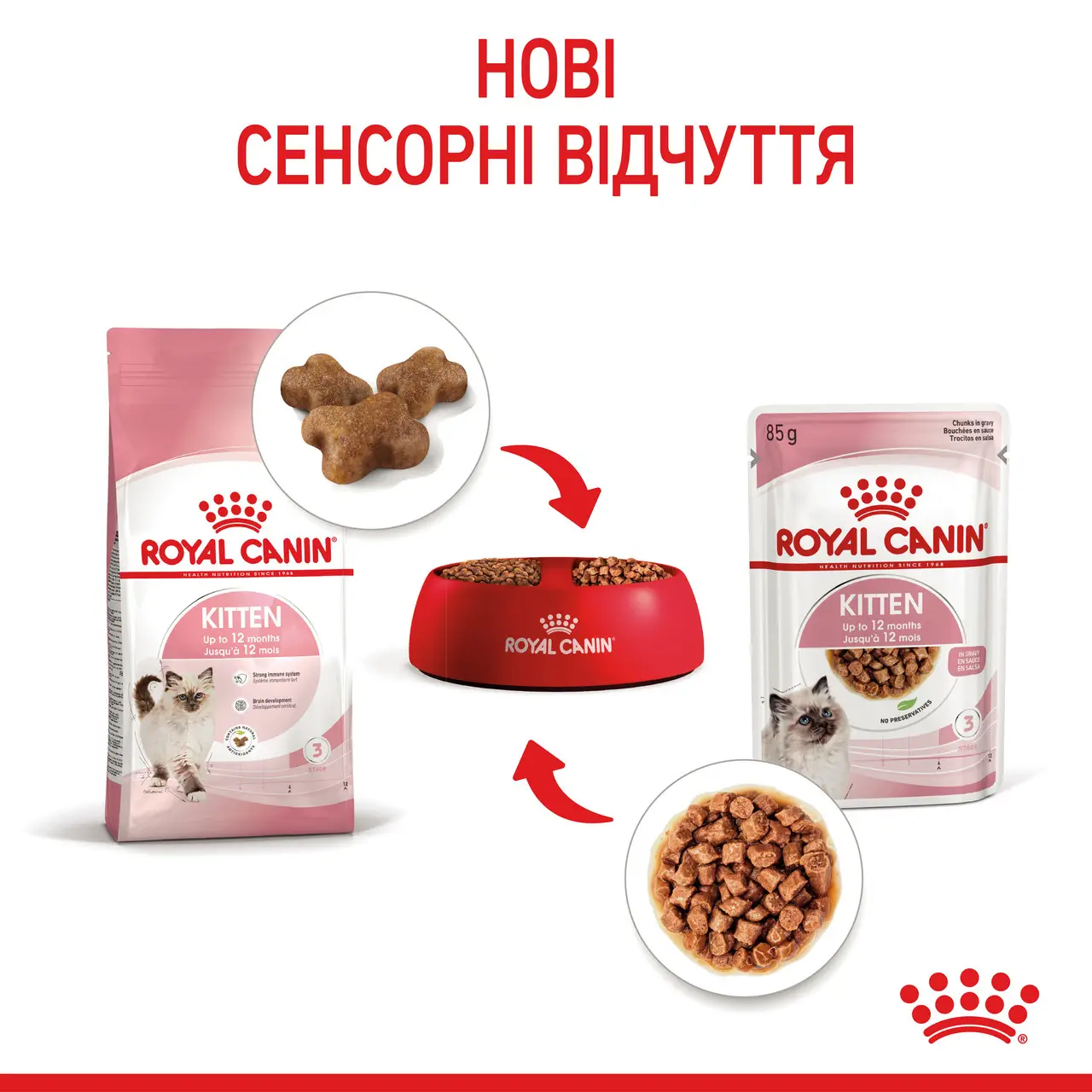 ROYAL CANIN Kitten Gravy Вологий корм для кошенят1