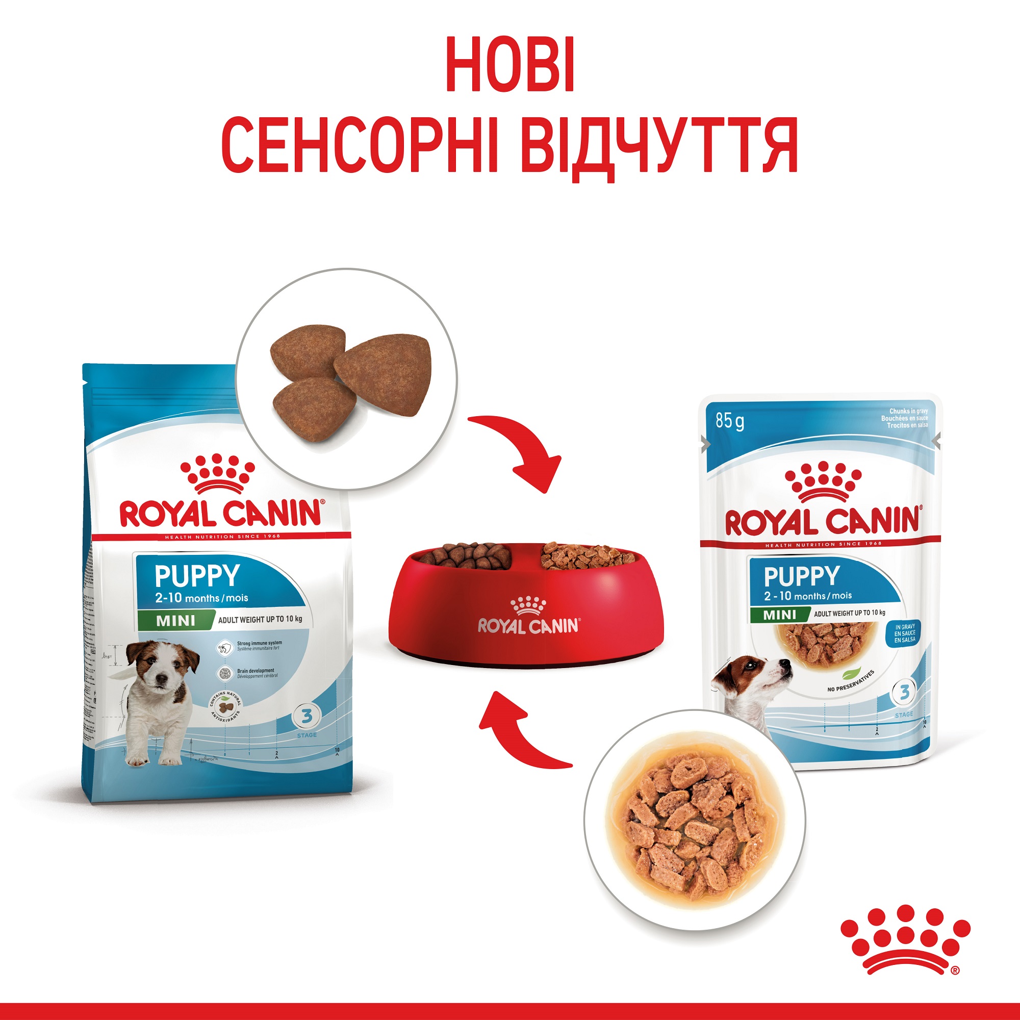 ROYAL CANIN Mini Puppy Вологий корм для цуценят малих порід2