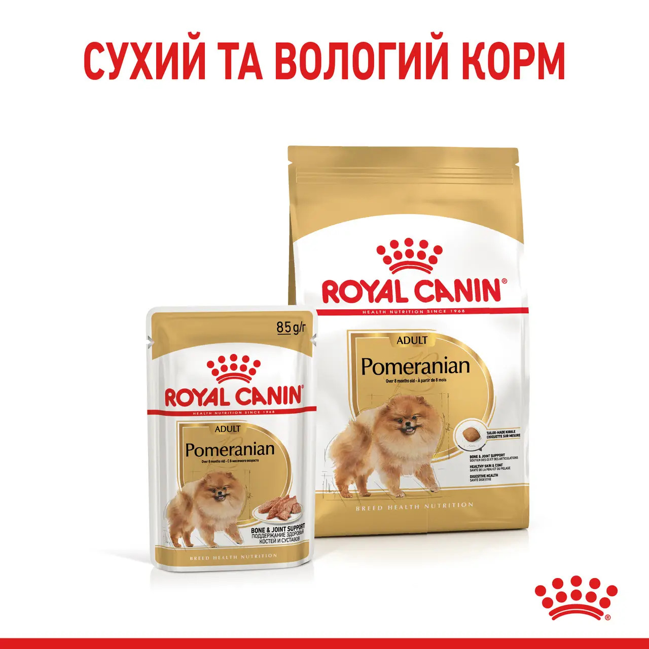 ROYAL CANIN Pomeranian Adult Влажный корм для взрослых собак породы Померанский шпиц5