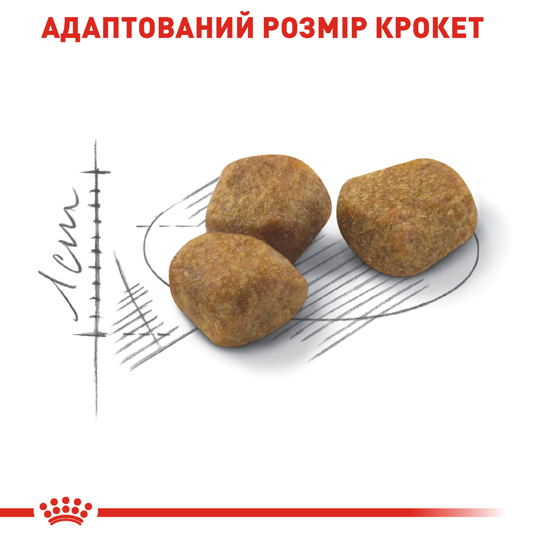 ROYAL CANIN Indoor 7+ Сухой корм для домашних котов4