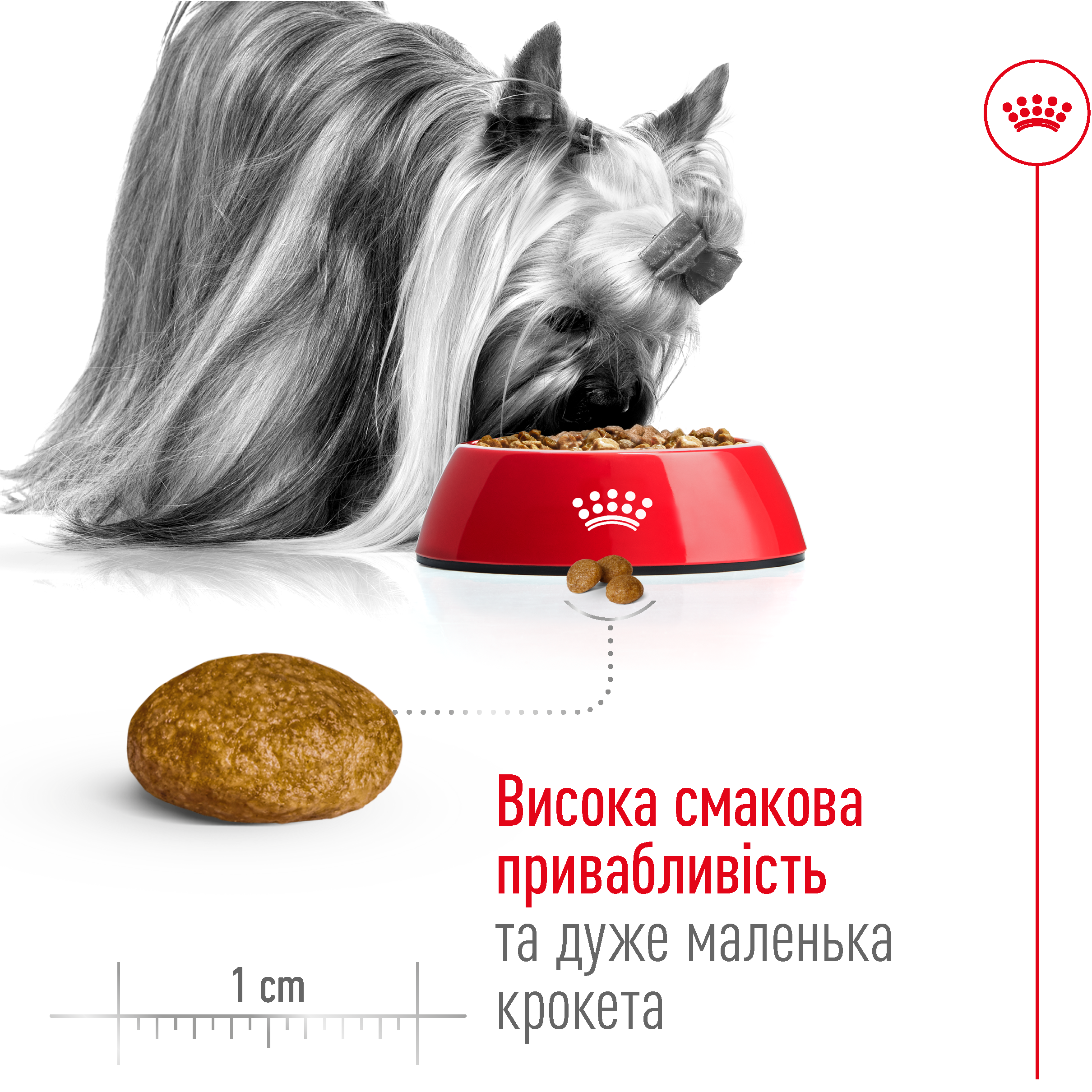 ROYAL CANIN X-Small Adult Сухий корм для дорослих собак дрібних порід5