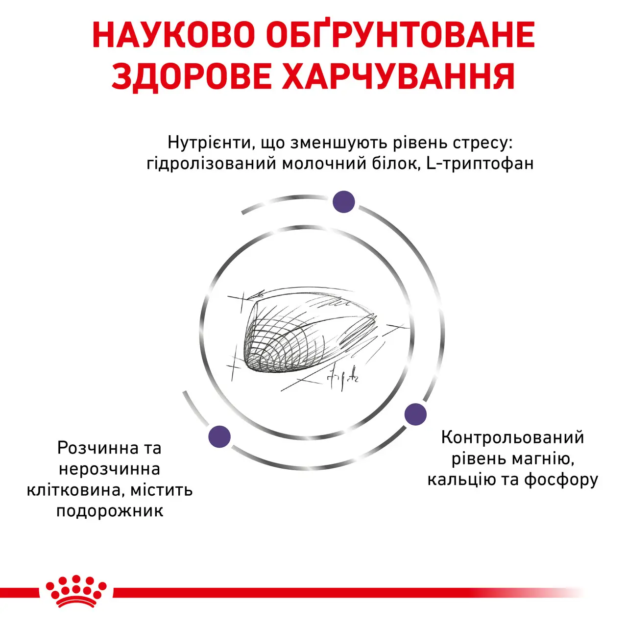 ROYAL CANIN Calm Feline Сухой корм для взрослых котов3