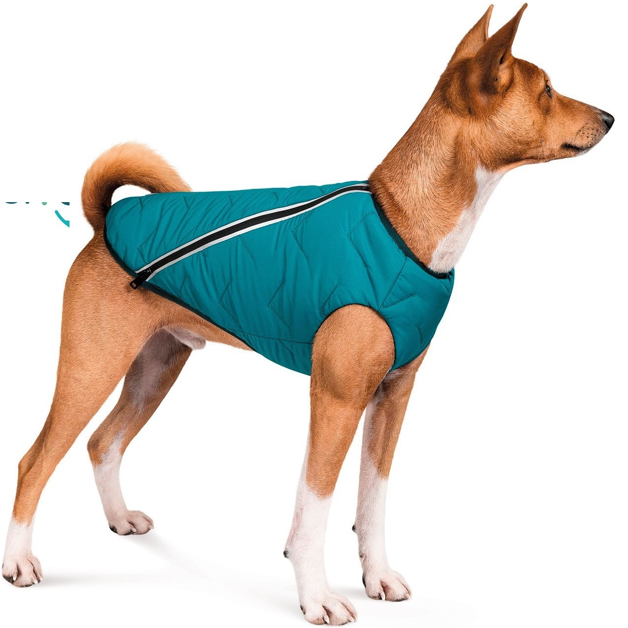 Pet Fashion "E.Vest" Жилет для собак1