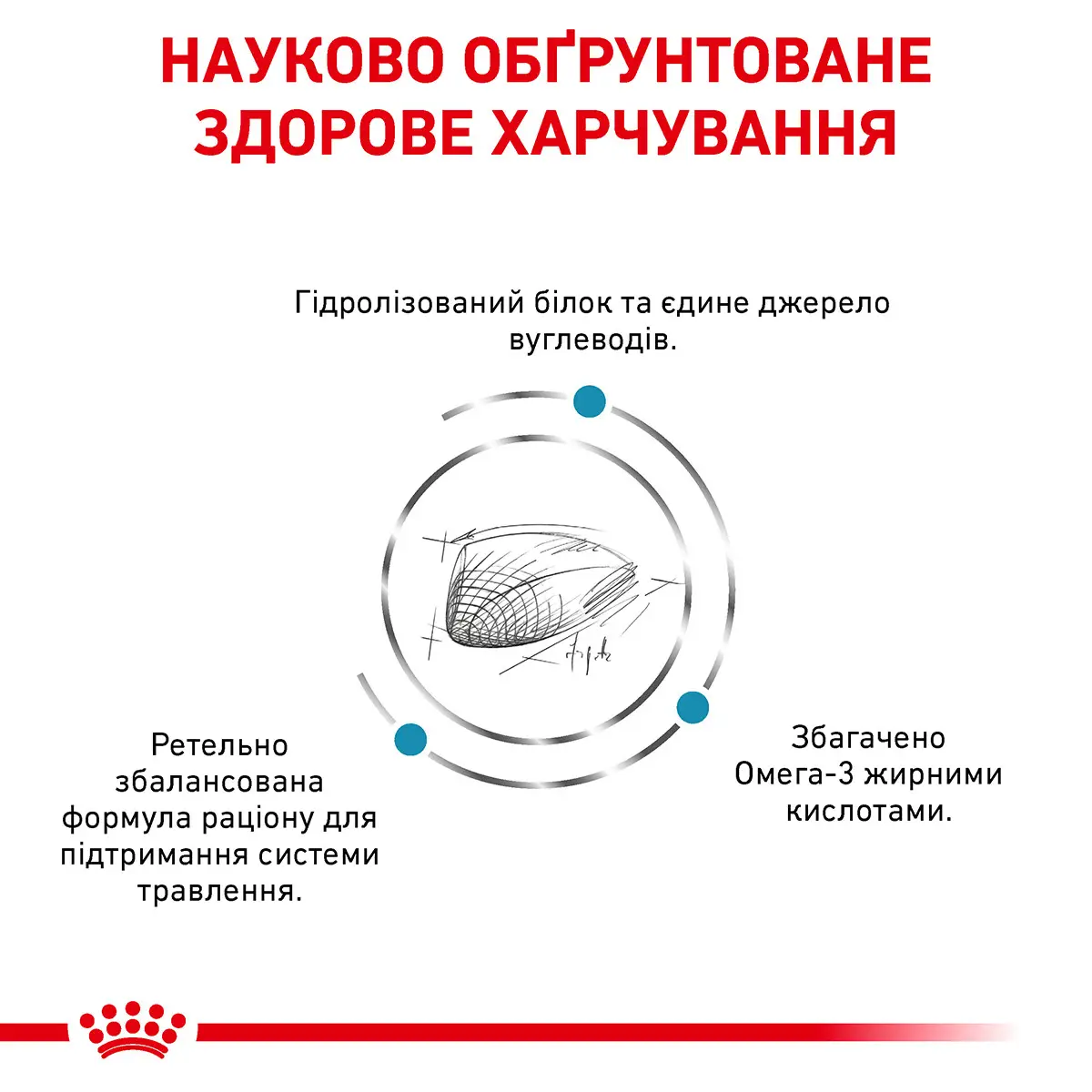 ROYAL CANIN Hypoallergenic Cat Сухий корм для дорослих котів3