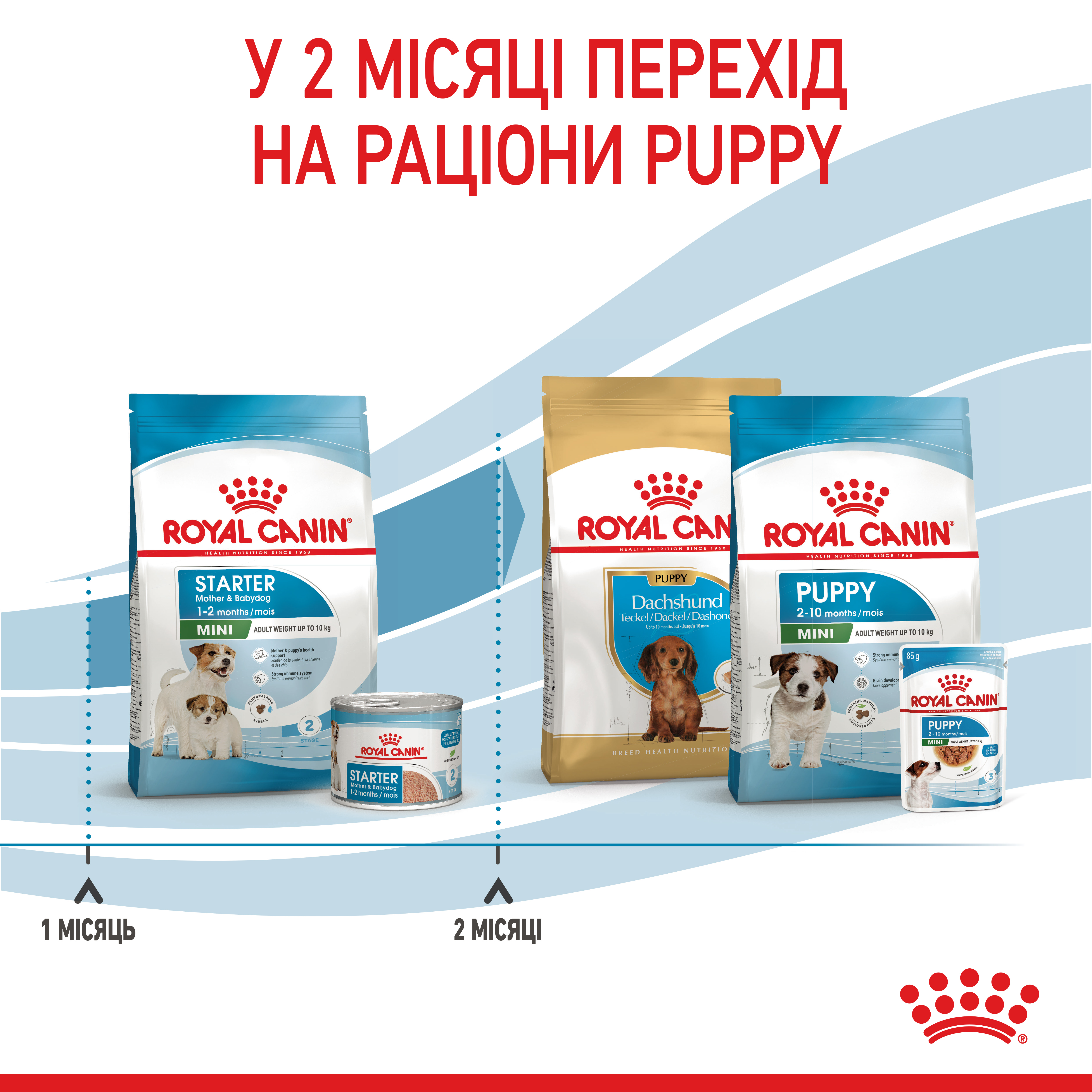 ROYAL CANIN Mini Starter Сухой корм для кормящих собак и щенков мини пород8