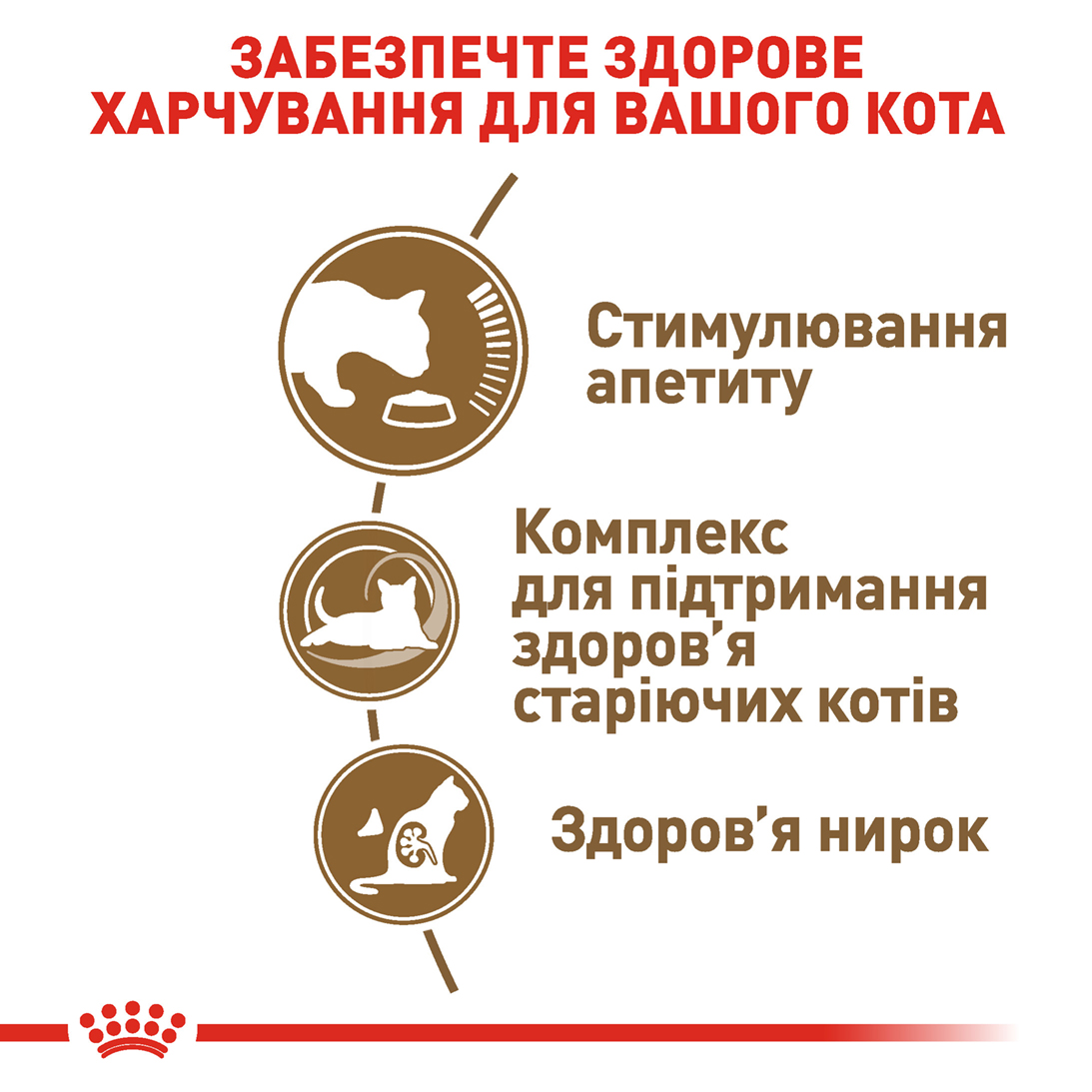 ROYAL CANIN Ageing 12+ Сухий корм для зрілих домашніх котів3