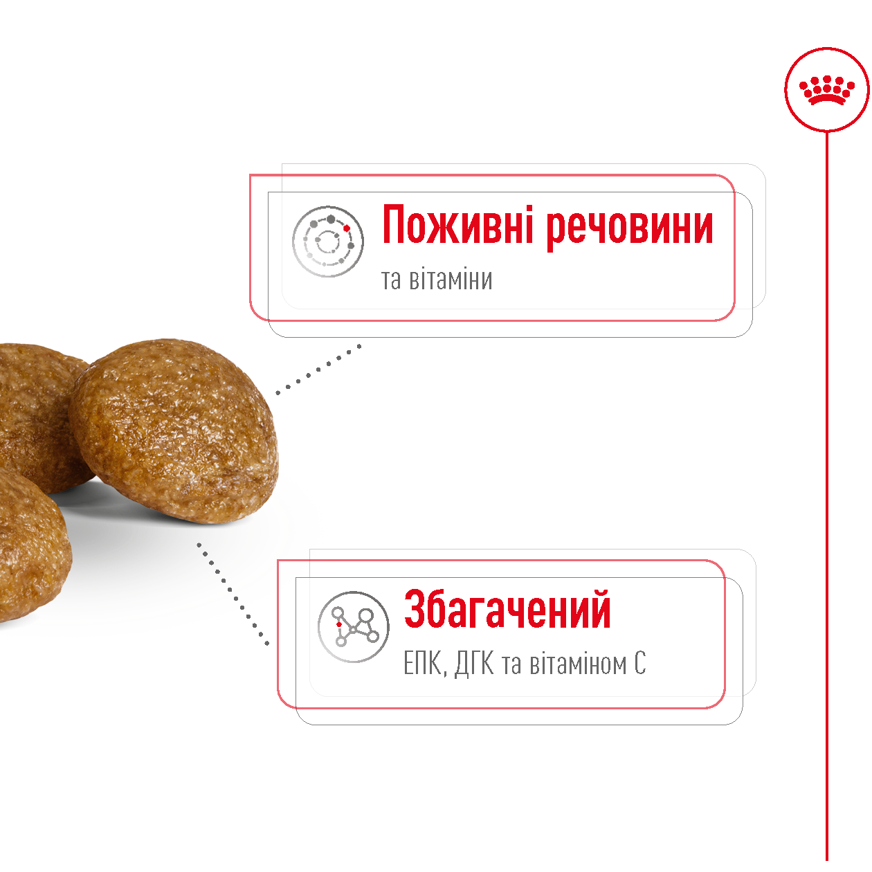 ROYAL CANIN X-Small Adult 8+ Сухой корм для взрослых собак мелких размеров (от 8 лет)3