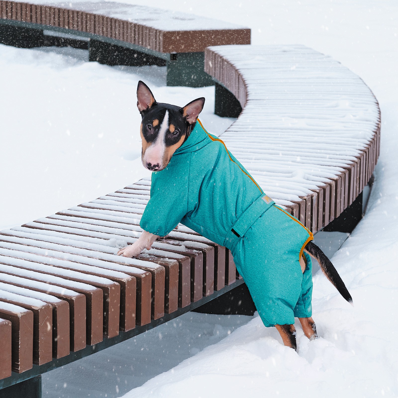 Pet Fashion «Cold» Комбінезон для собак13