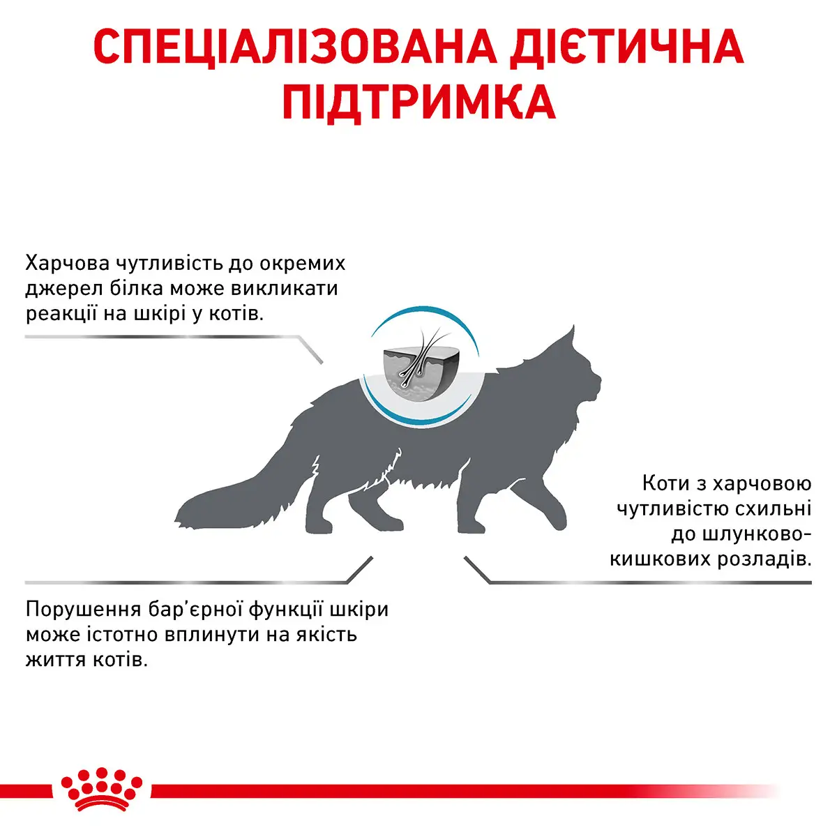 ROYAL CANIN Hypoallergenic Cat Сухий корм для дорослих котів2