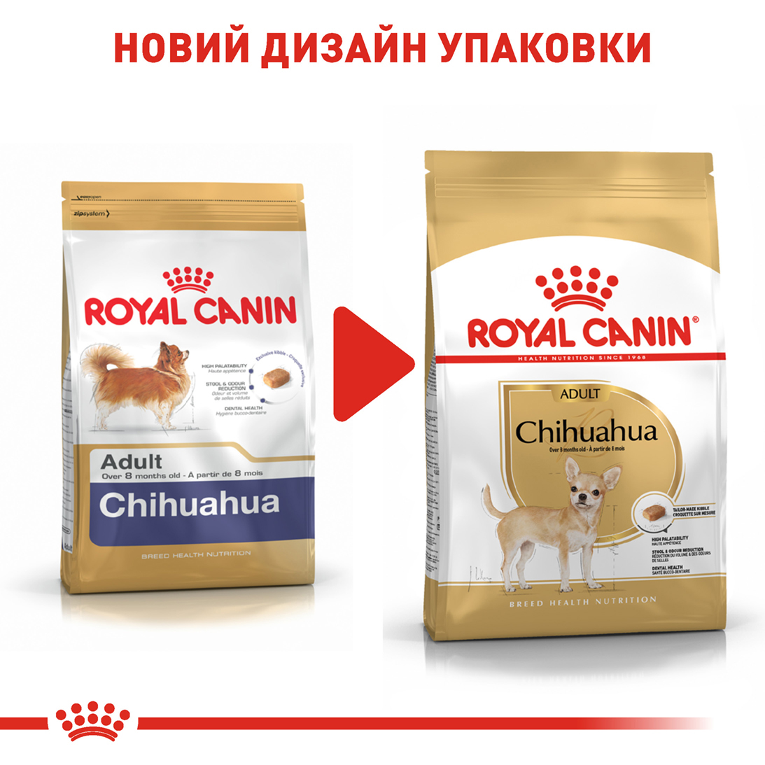 ROYAL CANIN Chihuahua Adult Сухий корм для дорослих собак породи Чихуахуа1