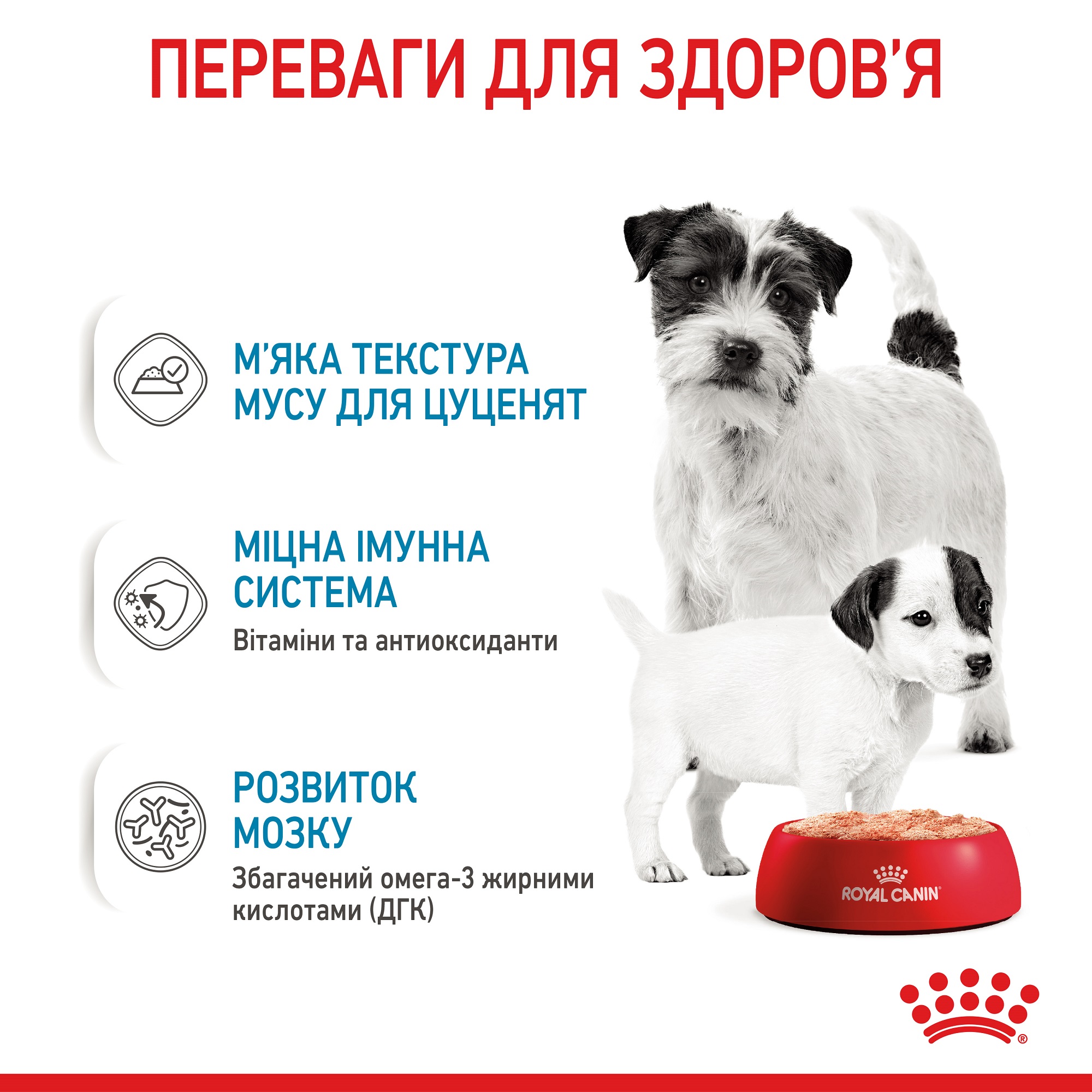 ROYAL CANIN Starter Mousse Вологий корм для цуценят та собак у період лактації3