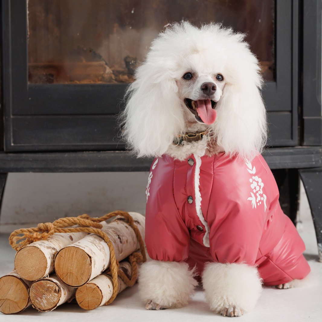 PET FASHION Cherry Комбінезон для собак3