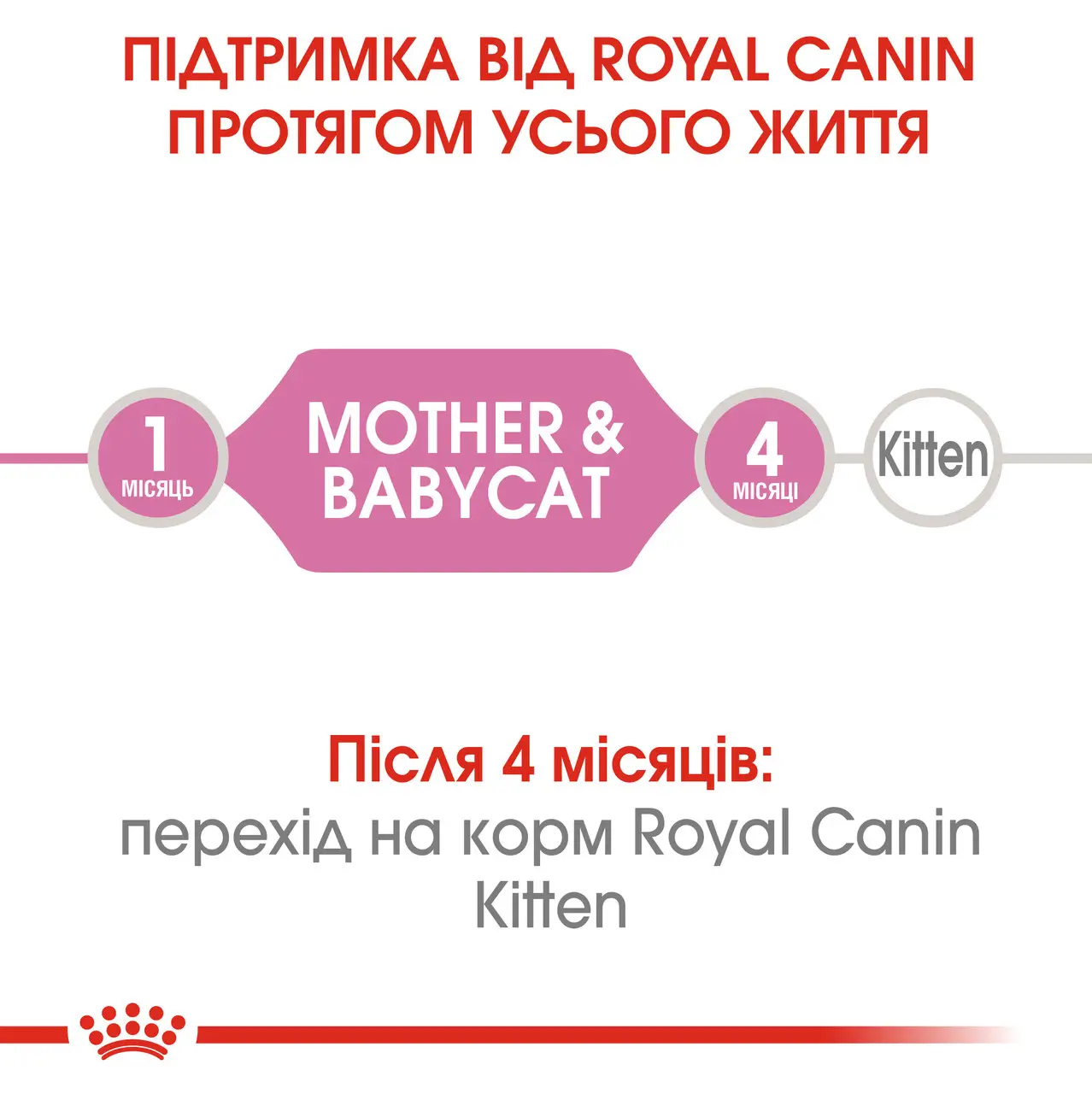 ROYAL CANIN Mother & Babycat Влажный корм (мусс) для котят1