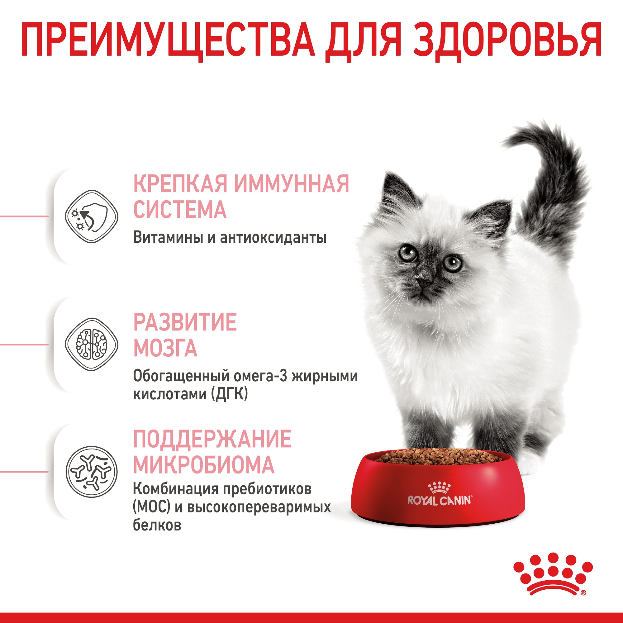 ROYAL CANIN Kitten Сухий корм для кошенят6