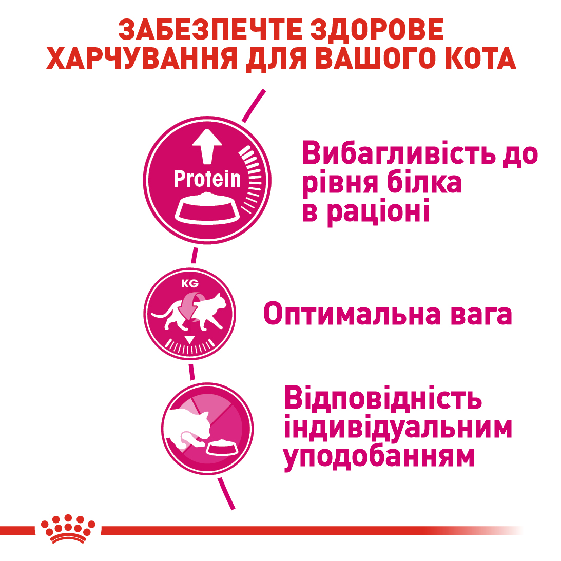 ROYAL CANIN Exigent Protein Сухий корм для дорослих котів вибагливих до поживності раціону4