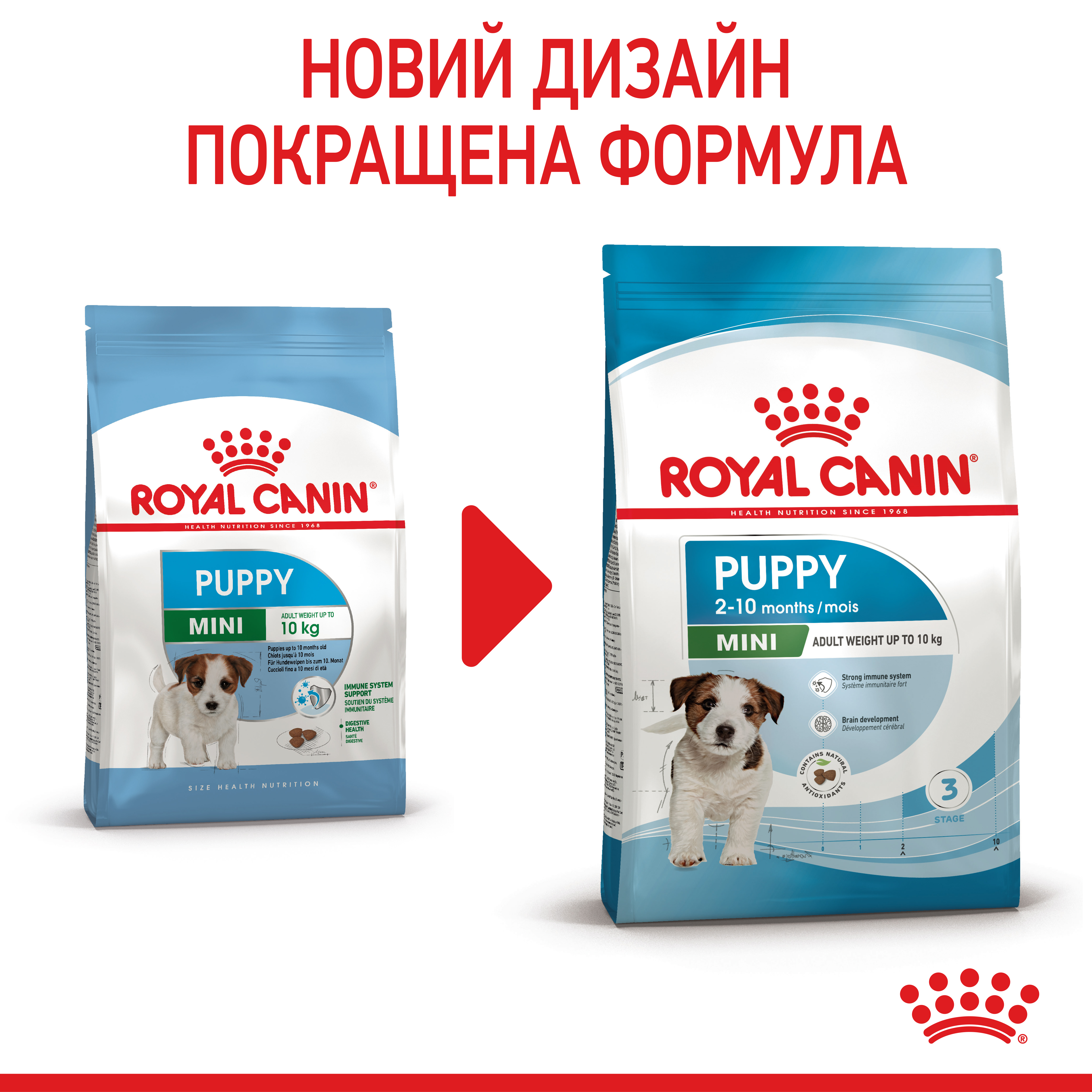 ROYAL CANIN Mini Puppy Сухий корм для цуценят дрібних порід2