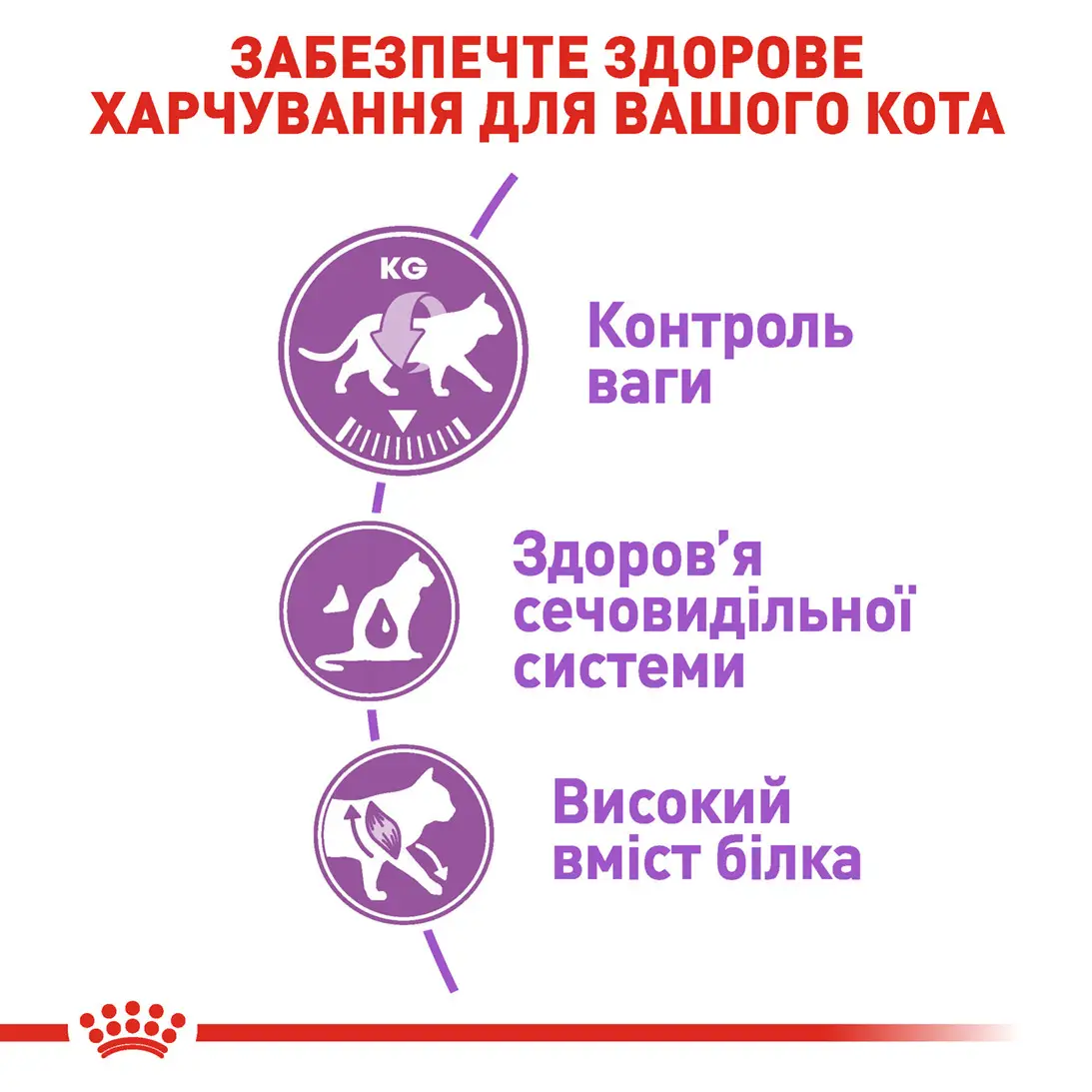 ROYAL CANIN Sterilised Сухий корм для дорослих стерилізованих котів3