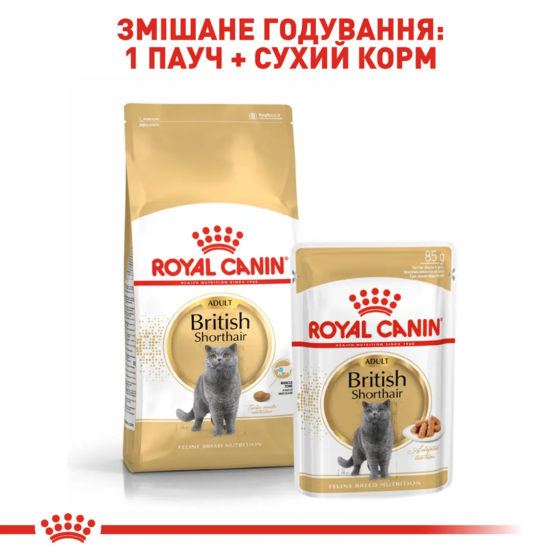 ROYAL CANIN British Shorthair Adult Вологий корм для дорослих котів породи Британська короткошерста5