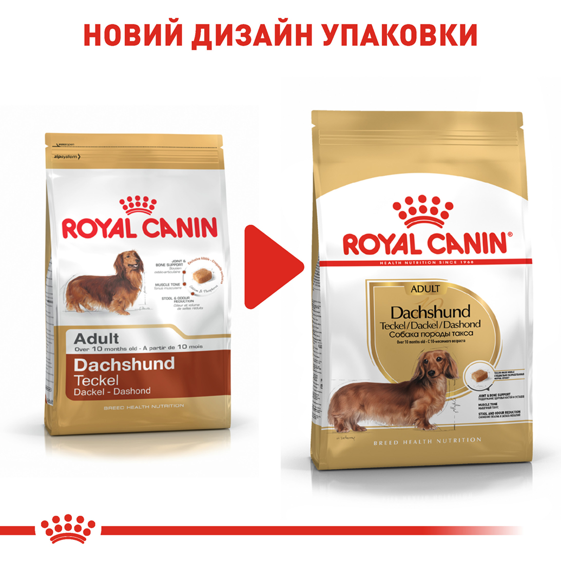 ROYAL CANIN Dachshund Adult Сухой корм для взрослых собак породы Такса7