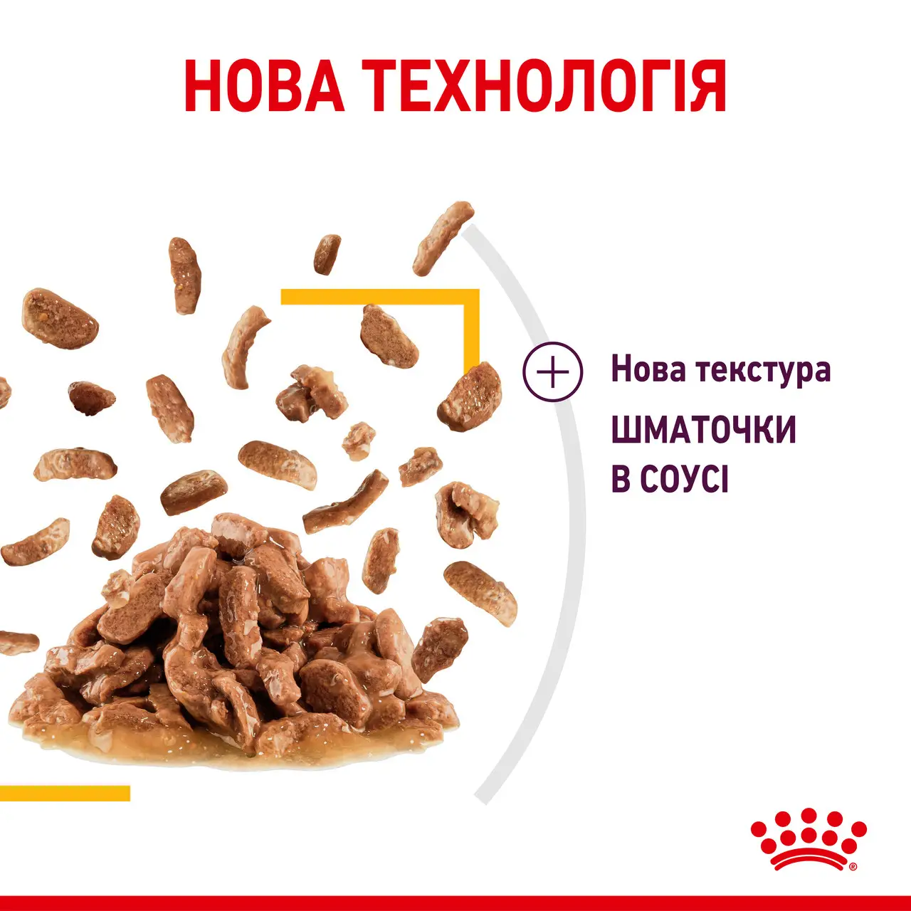 ROYAL CANIN Sensory Taste Gravy Влажный корм для взрослых котов4