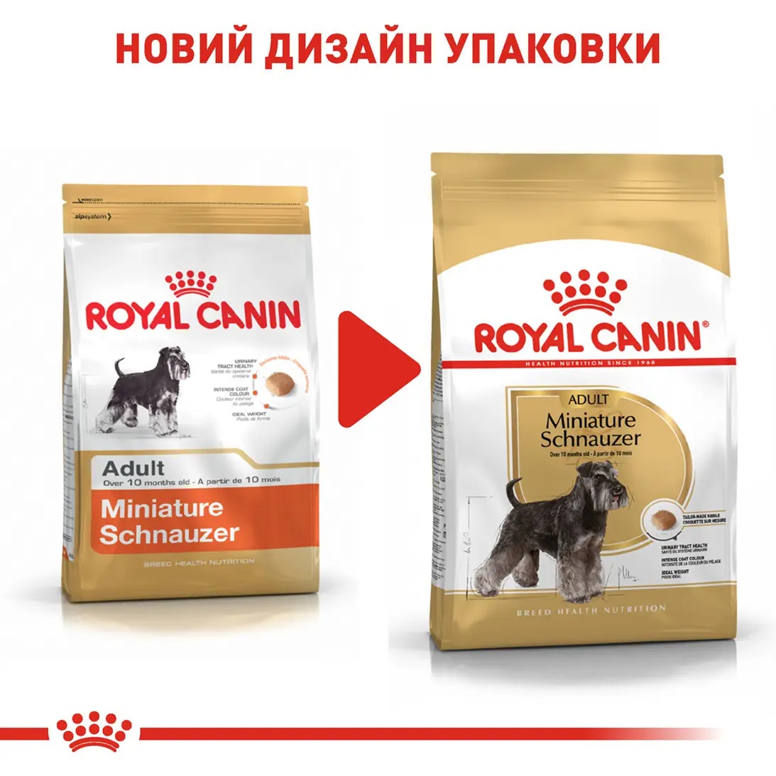 ROYAL CANIN Miniature Schnauzer Adult Сухий корм для дорослих собак породи Цвергшнауцер8