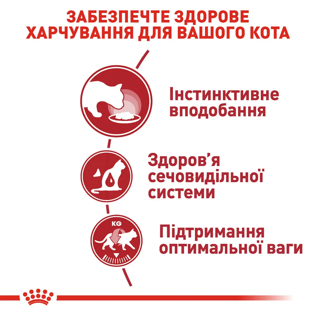 ROYAL CANIN Instinctive Loaf Вологий корм для дорослих котів3